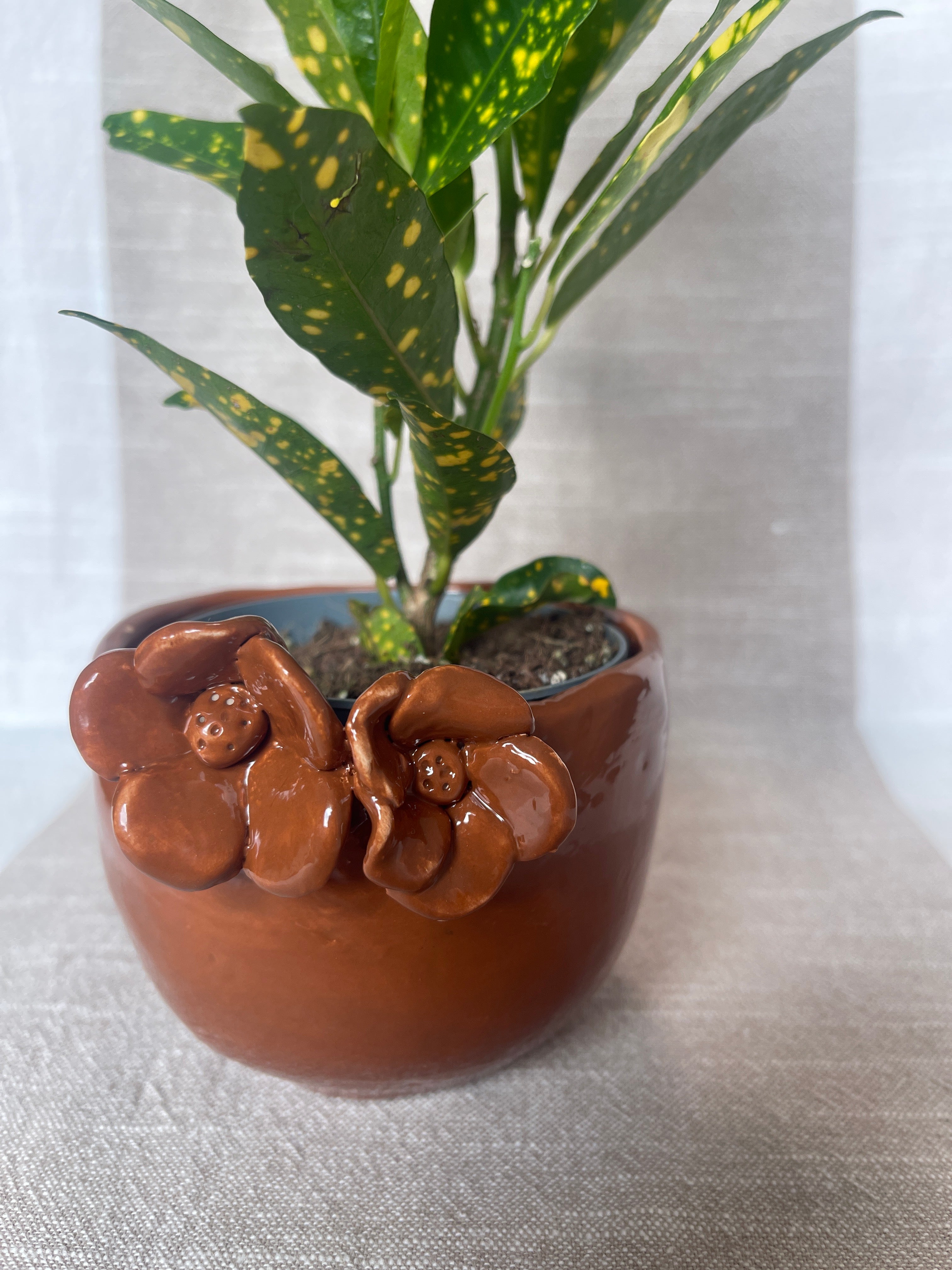 Vasetti con fiori