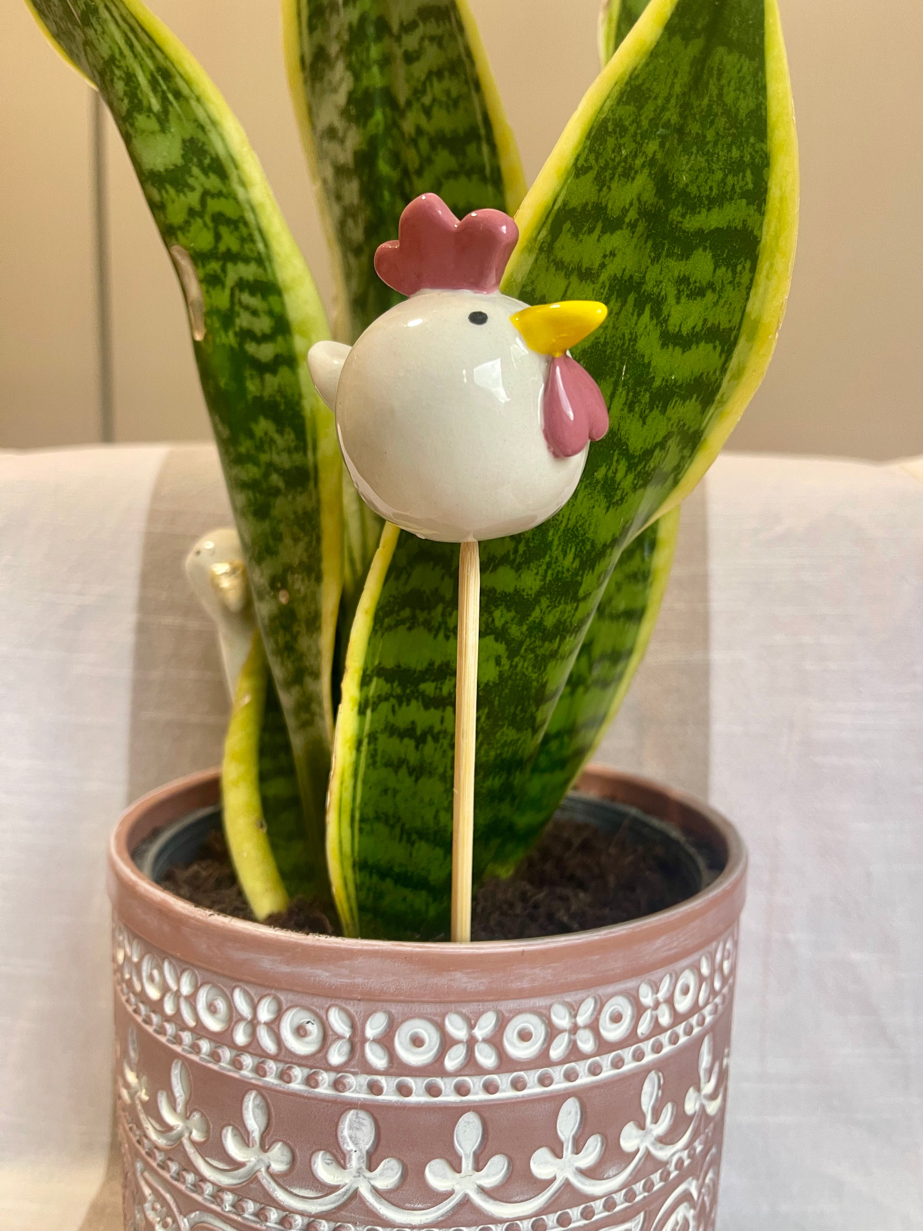 Plant pick